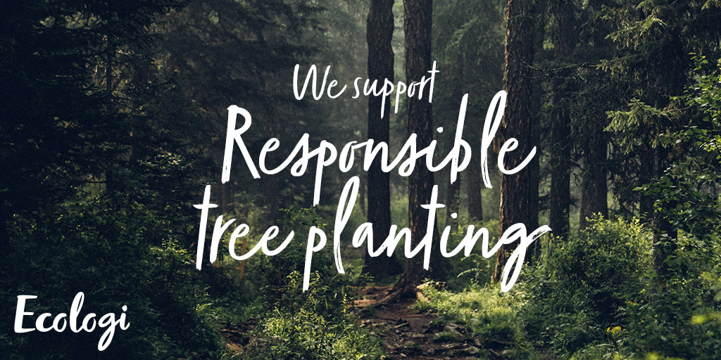 Introducing Our New Partnership With Ecologi